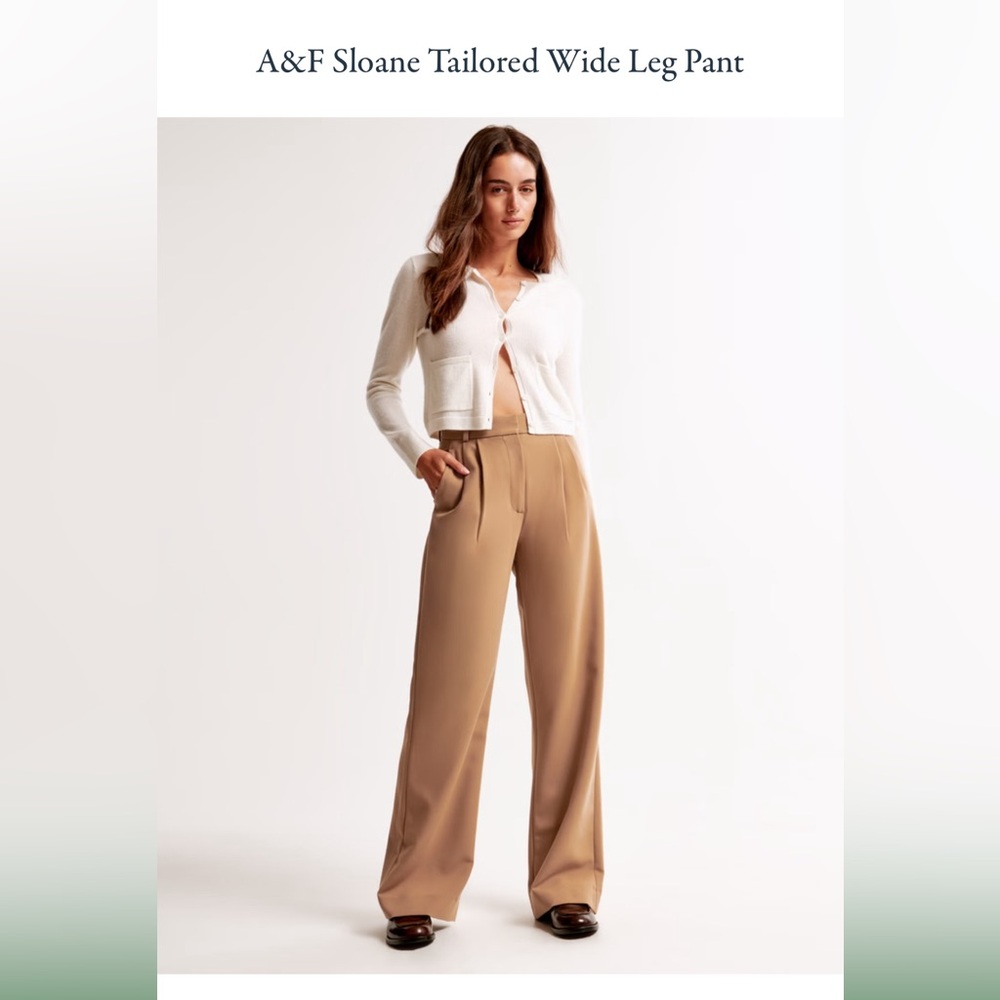 Abercrombie Wide Leg Sloan Pants